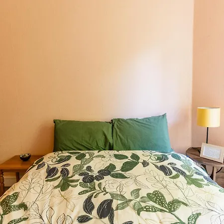 Palm Tree Apartment- Period With Cat *