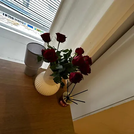 Old House In Of Old Town * Édimbourg