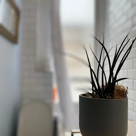 Appartement Charming 1 Bedroom