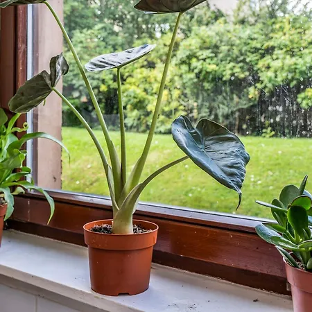 Appartamento Duddingston 2 Bedroom Edimburgo
