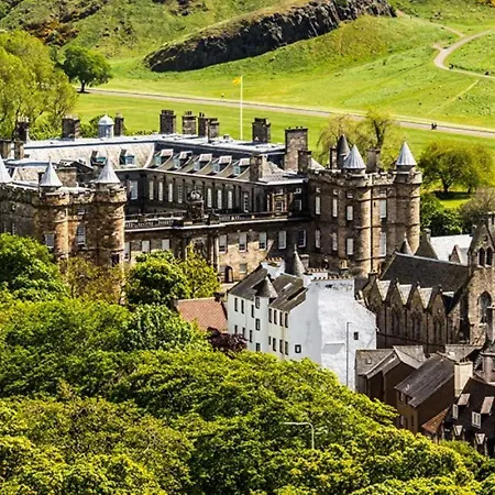 Arthur's Seat Nest *