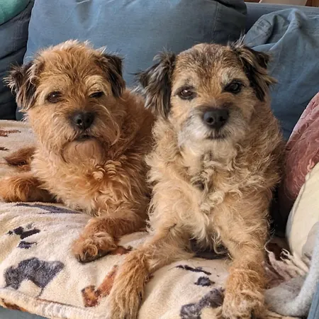 Séjour chez l'habitant Beautiful Double Great Location Homeshare