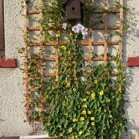 Homestay Frans Place Edinburgh