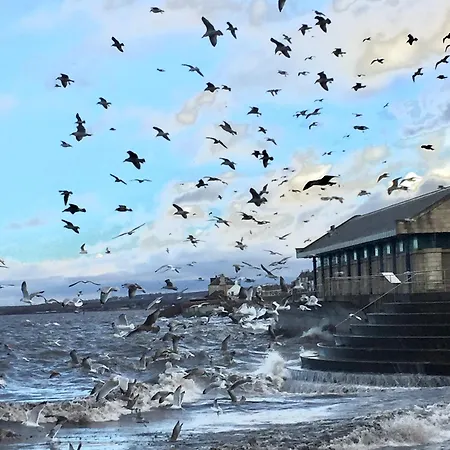 Loft In Joppa Apartment