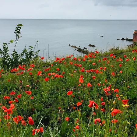 Apartment Loft In Joppa *