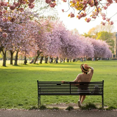 Cosy - Pass The Keys * Edimburgo