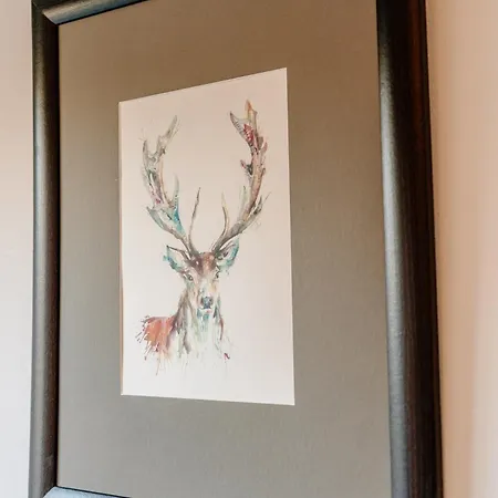 Fab Centre Flat Apartment Edinburgh