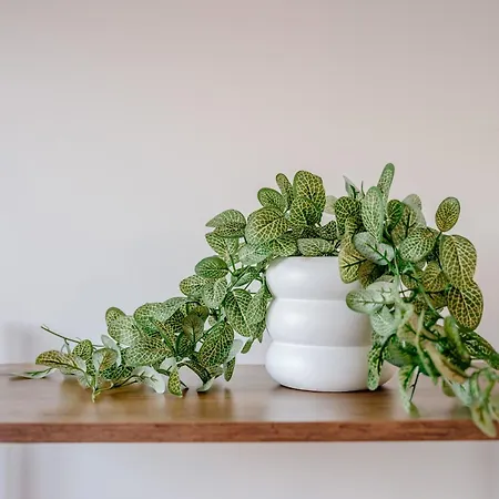 Fab Centre Flat Apartment