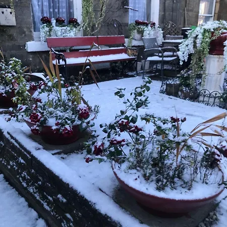 Oda ve Kahvaltı 16 Pilrig 3*