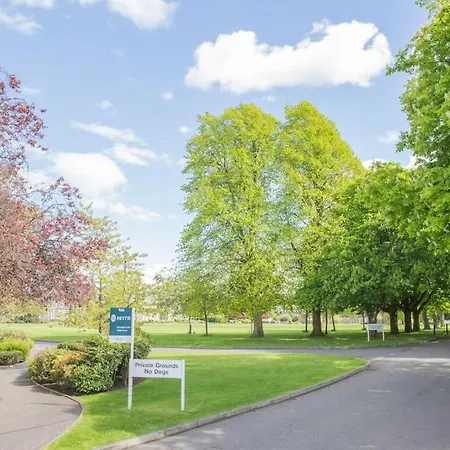 In Newington Apartment *