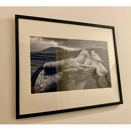 Beautifully Decorated 2bed Apt- Gem In Center *