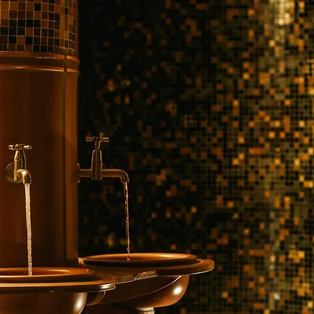 Hotel Sheraton Grand &