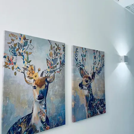 Upmarket Ground Floor In Morningside Apartment *
