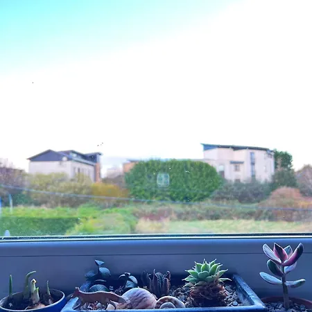 Peace In The 爱丁堡