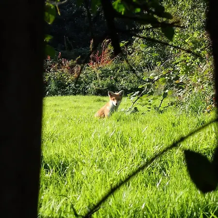 Rum i privatbostad Peace In The