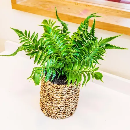 Large Super 3 Bed -princes Street, Parking Edinburgh