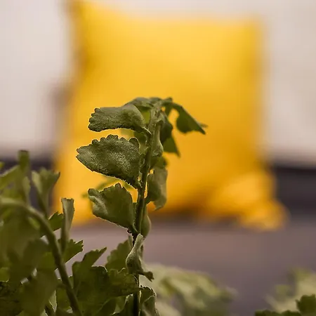 アパート Beautiful Designer 2 Bed 2 Bath Old Town - Parking エディンバラ