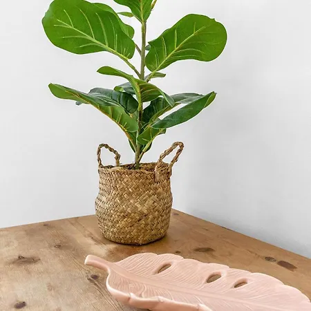 Gorgeous Centre Pad, 2 Bedrooms