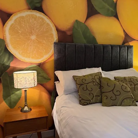 The Pleasance Edinburgh