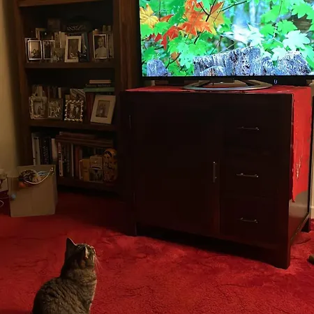 Relaxing, Cozy 1 Double * אדינבורו