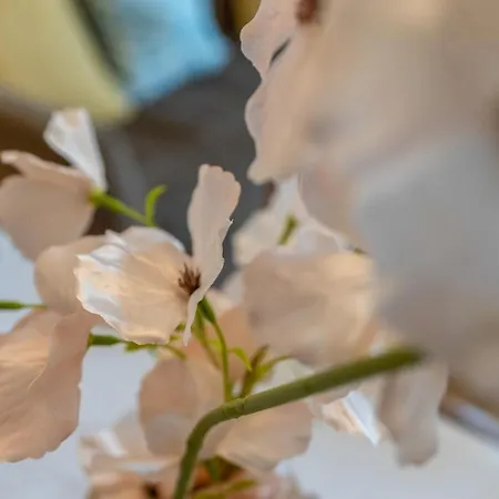 Centre - Tram - The Jameson דירה