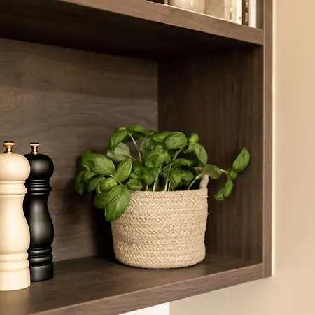 Moment George Iv Bridge Edinburgh