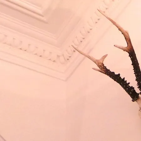 Antler Edinburgh