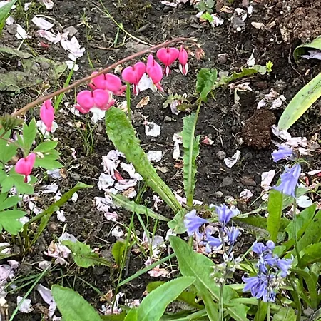 Relaxing, Cozy 1 Double בית אירוח *