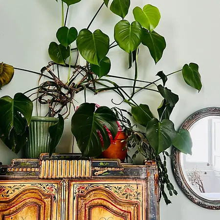 Apartament With Parking, Original Art And Antiques