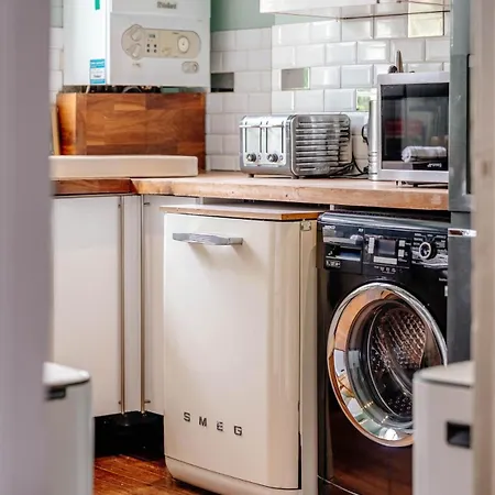 Craig S Lair Boho Jungle