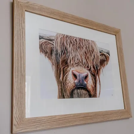 Craig S Lair Boho Jungle *