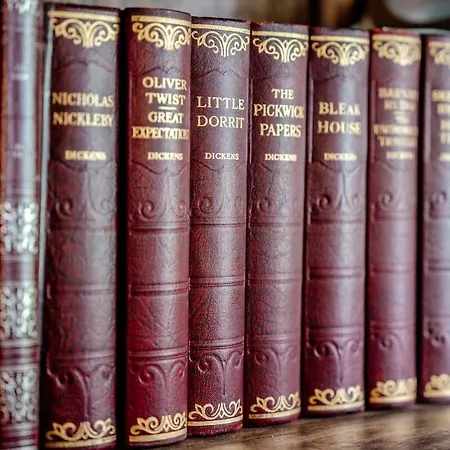 Craig S Lair Boho Jungle Daire