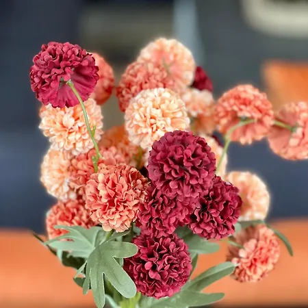 Heart Of The - 3 Bedroom Oasis * エディンバラ