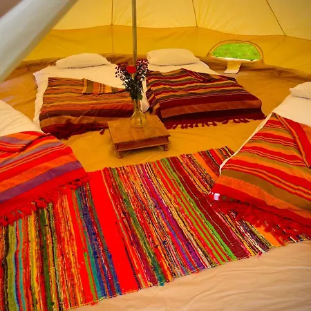 캠프장 Festival Glamping By Social