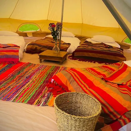 캠프장 Festival Glamping By Social