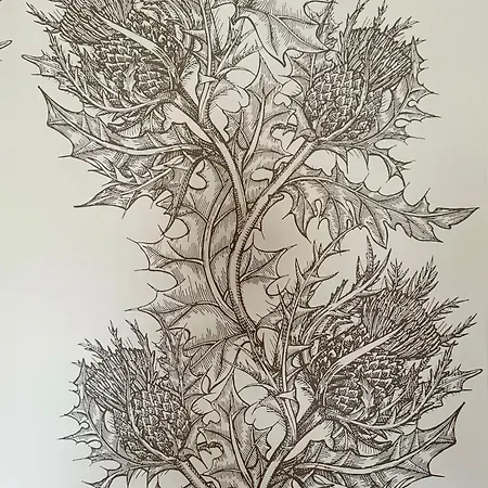 게스트하우스 Scot Townhouse