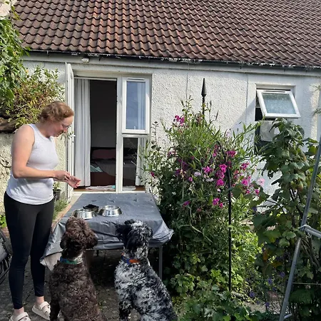 Bed & Breakfast Charming For Share ,private Double , Fast Fibre Optik Int, Free Parking, Garden Edimburgo