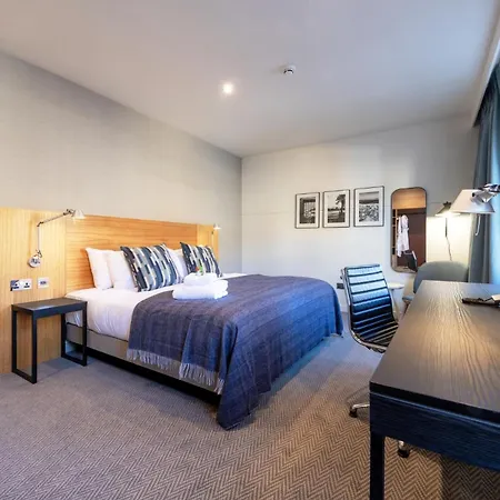 아펙스 시티 오브 4*