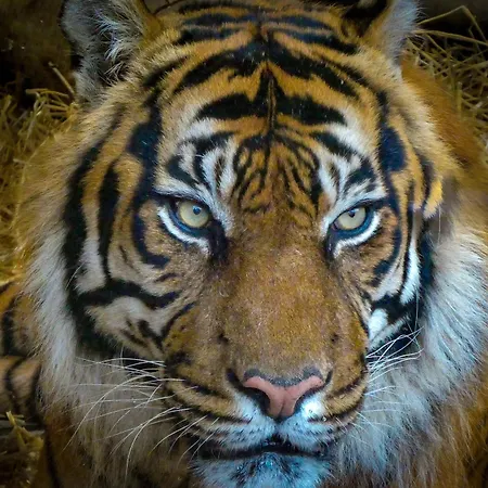 Hotel The Haymarket Edinburgh