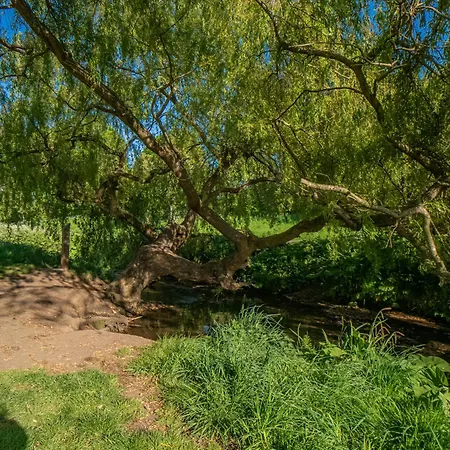 Northfield 1 Bedroom With Sofa Bed - Apartment