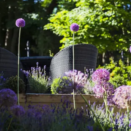 Ξενοδοχείο 24 Royal Terrace 4*