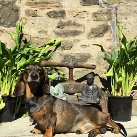 Martins Guest House Guest house 3*