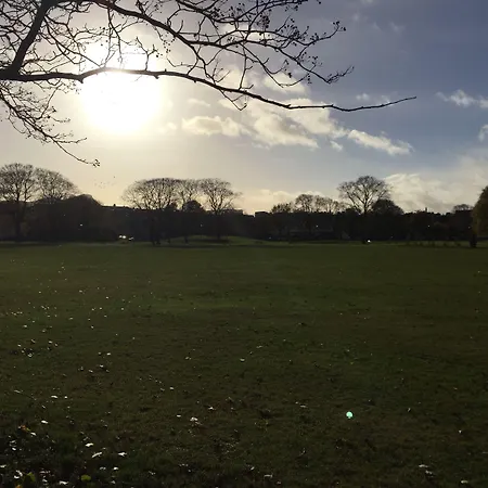 Adelphi Πανσιόν 3*