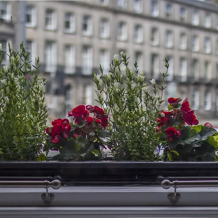 Hotel apartamentowy Haymarket 4*