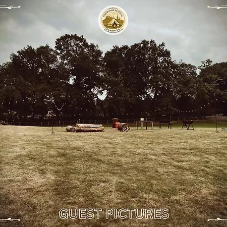 Festival Glamping By Social 营地 *