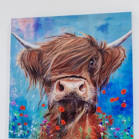 Mcdonalds House 12 Guests 10 Beds 15' Centre Nyaraló