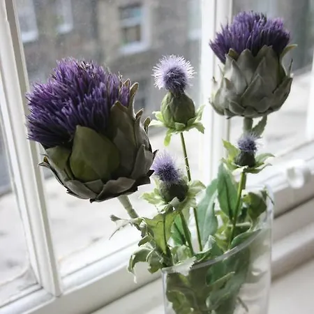 Appartamento Royal Mile Budget
