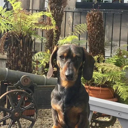 Martins Guest House Edinburgh