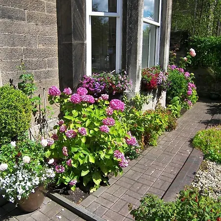 Highfield Guest house