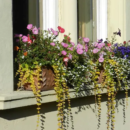 Balmoral Guest house